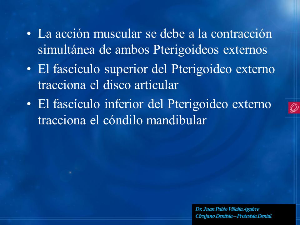 La acción muscular se debe a la contracción simultánea de ambos Pterigoideos externos
