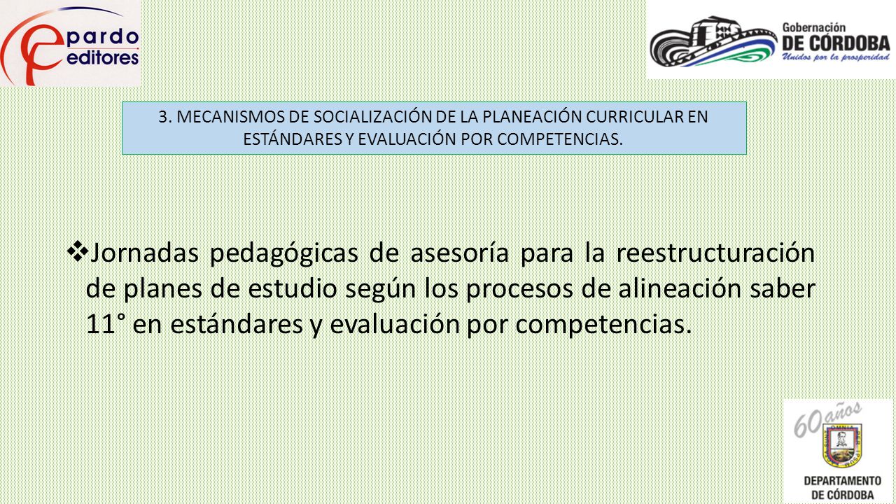 3. MECANISMOS DE SOCIALIZACIÓN DE LA PLANEACIÓN CURRICULAR EN ESTÁNDARES Y EVALUACIÓN POR COMPETENCIAS.