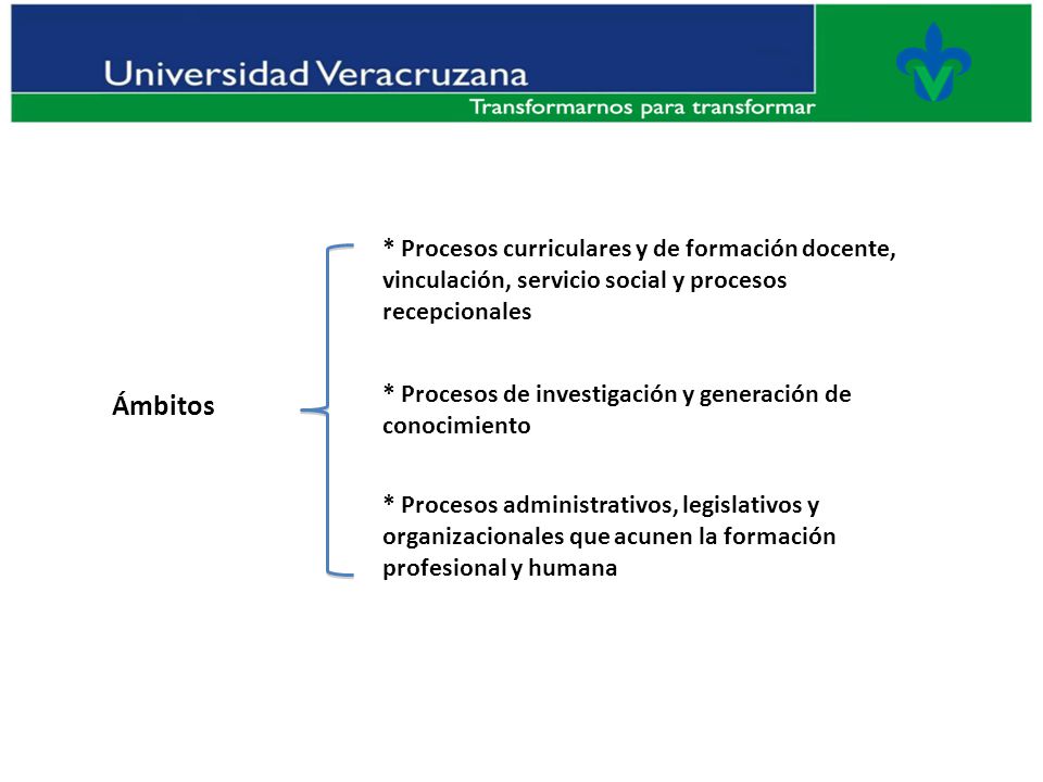 * Procesos curriculares y de formación docente, vinculación, servicio social y procesos recepcionales