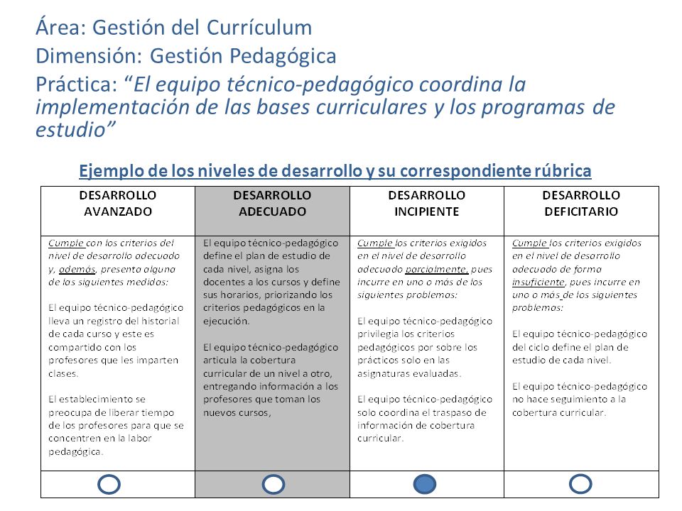 Ejemplo de los niveles de desarrollo y su correspondiente rúbrica