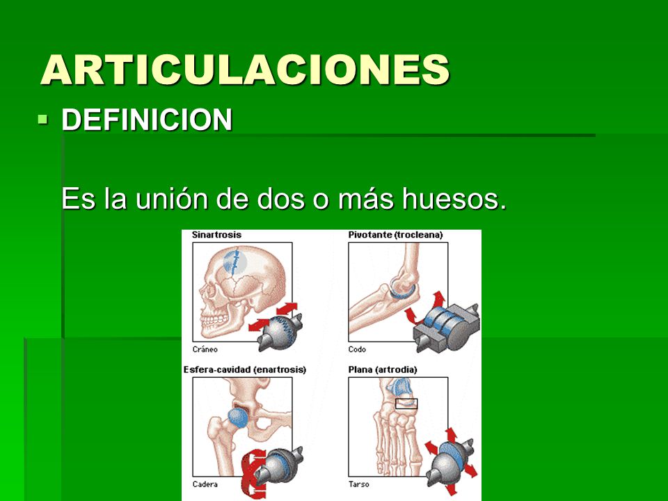 ARTICULACIONES DEFINICION Es la unión de dos o más huesos.