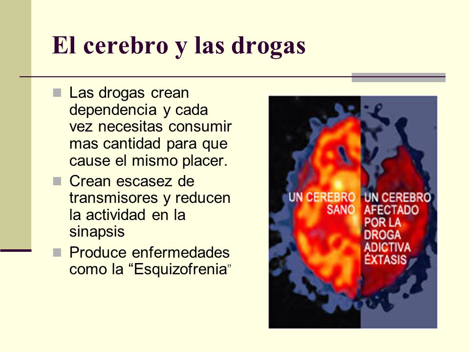 El cerebro y las drogas Las drogas crean dependencia y cada vez necesitas consumir mas cantidad para que cause el mismo placer.