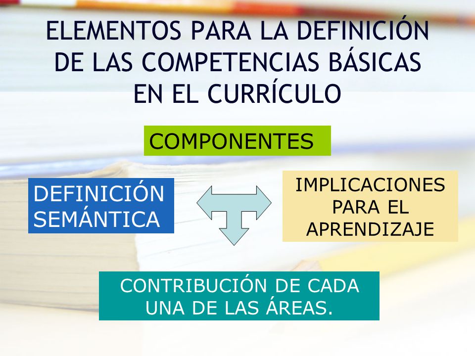 ELEMENTOS PARA LA DEFINICIÓN DE LAS COMPETENCIAS BÁSICAS EN EL CURRÍCULO