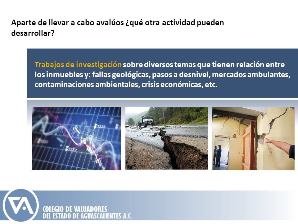 Aparte de llevar a cabo avalúos ¿qué otra actividad pueden desarrollar