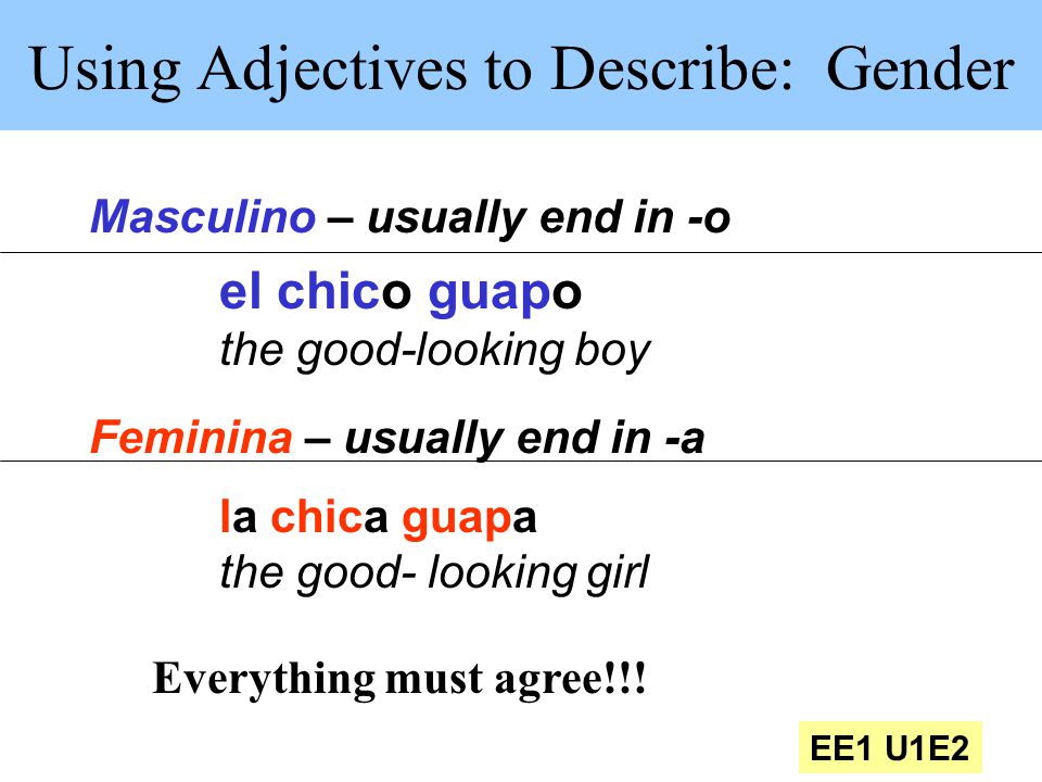 Using Adjectives to Describe: Gender
