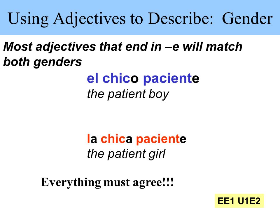 Using Adjectives to Describe: Gender