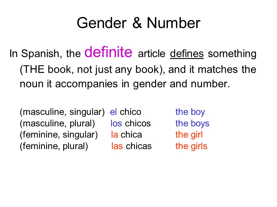 Gender & Number