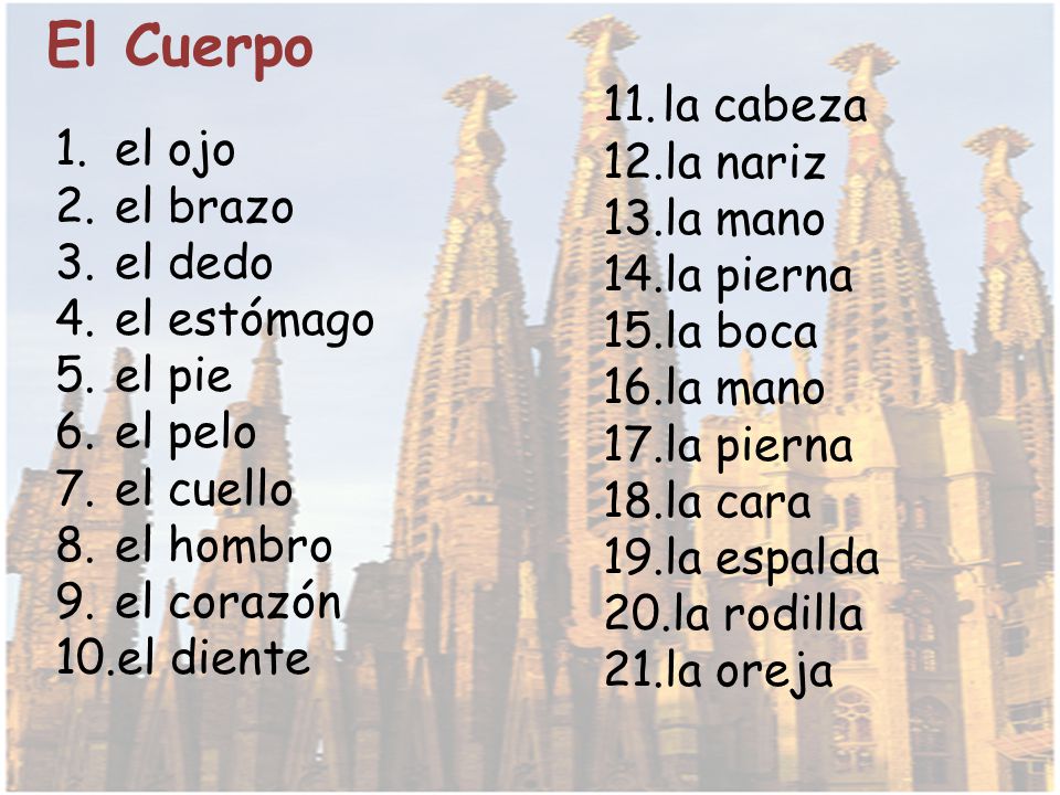 El Cuerpo la cabeza la nariz el ojo la mano el brazo la pierna el dedo