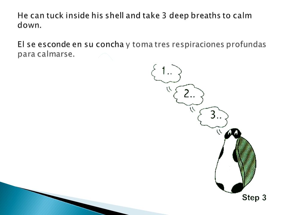 He can tuck inside his shell and take 3 deep breaths to calm down