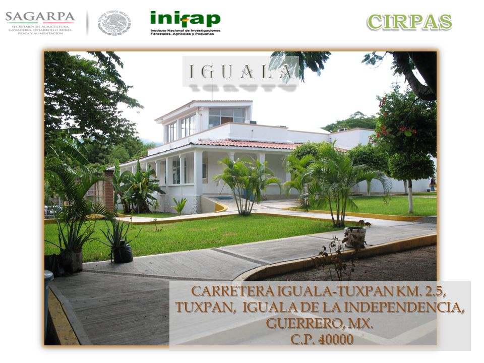 CIRPAS I G U A L A CARRETERA IGUALA-TUXPAN KM. 2.5,
