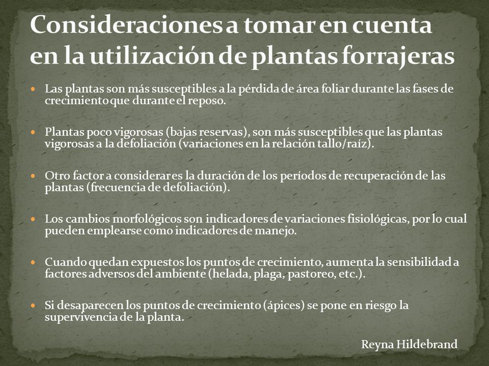 Consideraciones a tomar en cuenta en la utilización de plantas forrajeras