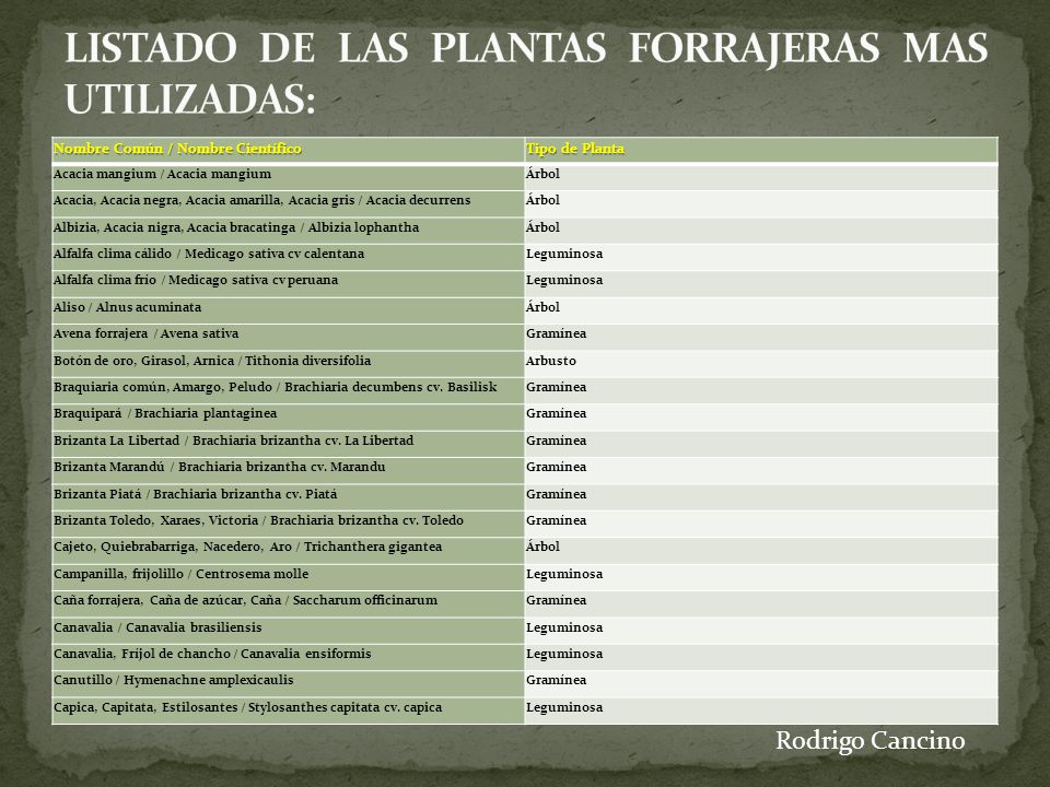 LISTADO DE LAS PLANTAS FORRAJERAS MAS UTILIZADAS: