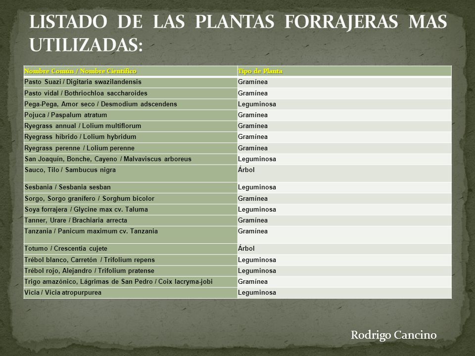 LISTADO DE LAS PLANTAS FORRAJERAS MAS UTILIZADAS:
