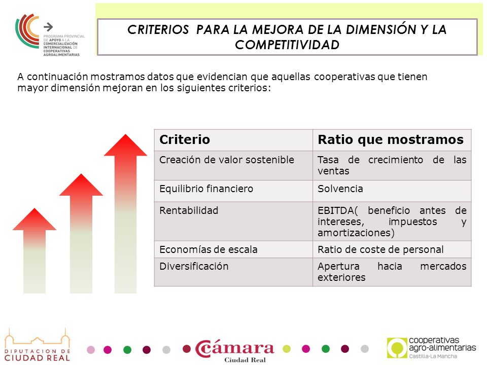 CRITERIOS PARA LA MEJORA DE LA DIMENSIÓN Y LA COMPETITIVIDAD