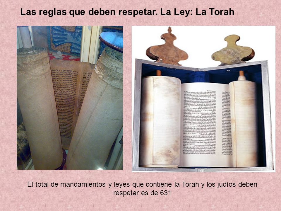 Las reglas que deben respetar. La Ley: La Torah