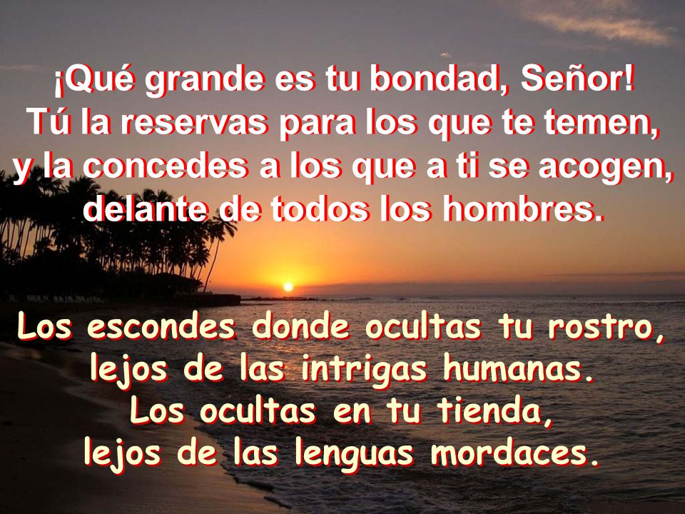¡Qué grande es tu bondad, Señor! Tú la reservas para los que te temen,