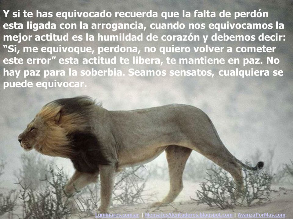 Y si te has equivocado recuerda que la falta de perdón esta ligada con la arrogancia, cuando nos equivocamos la mejor actitud es la humildad de corazón y debemos decir: Si, me equivoque, perdona, no quiero volver a cometer este error esta actitud te libera, te mantiene en paz. No hay paz para la soberbia. Seamos sensatos, cualquiera se puede equivocar.