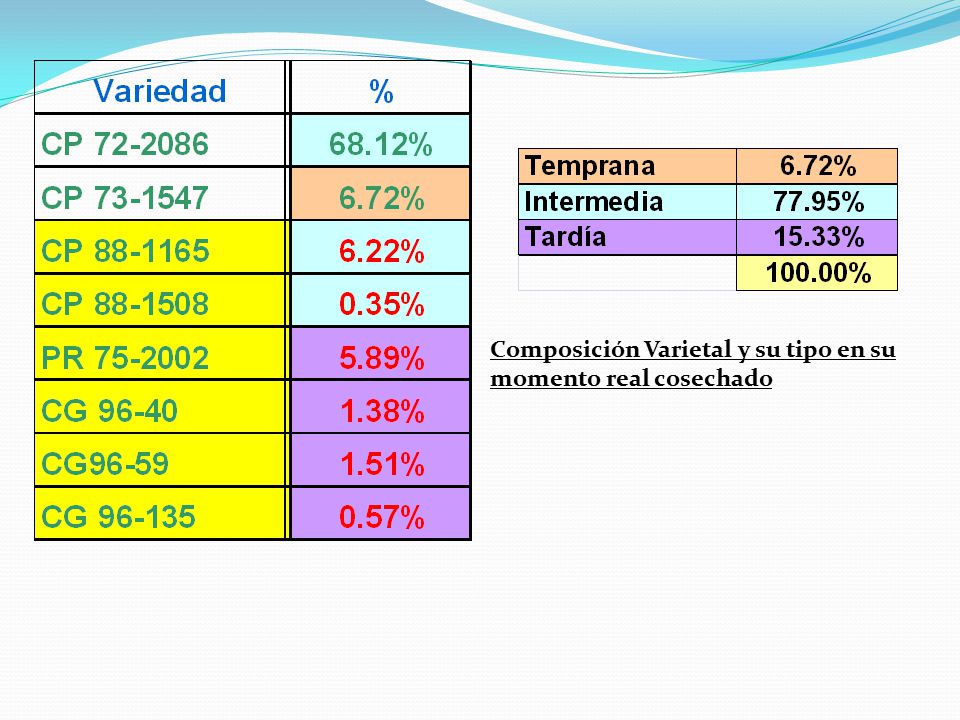 Composición Varietal y su tipo en su momento real cosechado