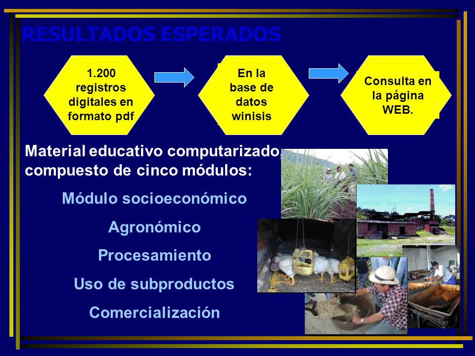 En la base de datos winisis Consulta en la página WEB.
