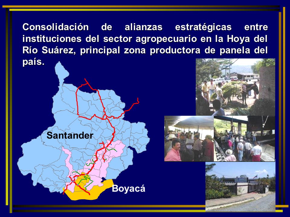 Consolidación de alianzas estratégicas entre instituciones del sector agropecuario en la Hoya del Río Suárez, principal zona productora de panela del país.
