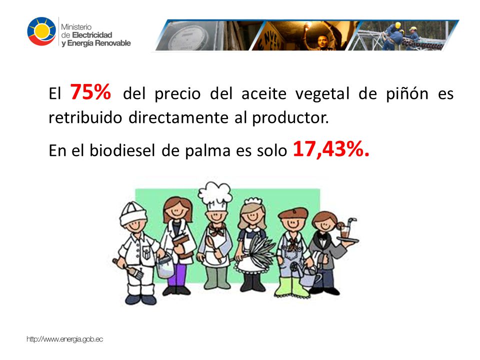 El 75% del precio del aceite vegetal de piñón es retribuido directamente al productor.