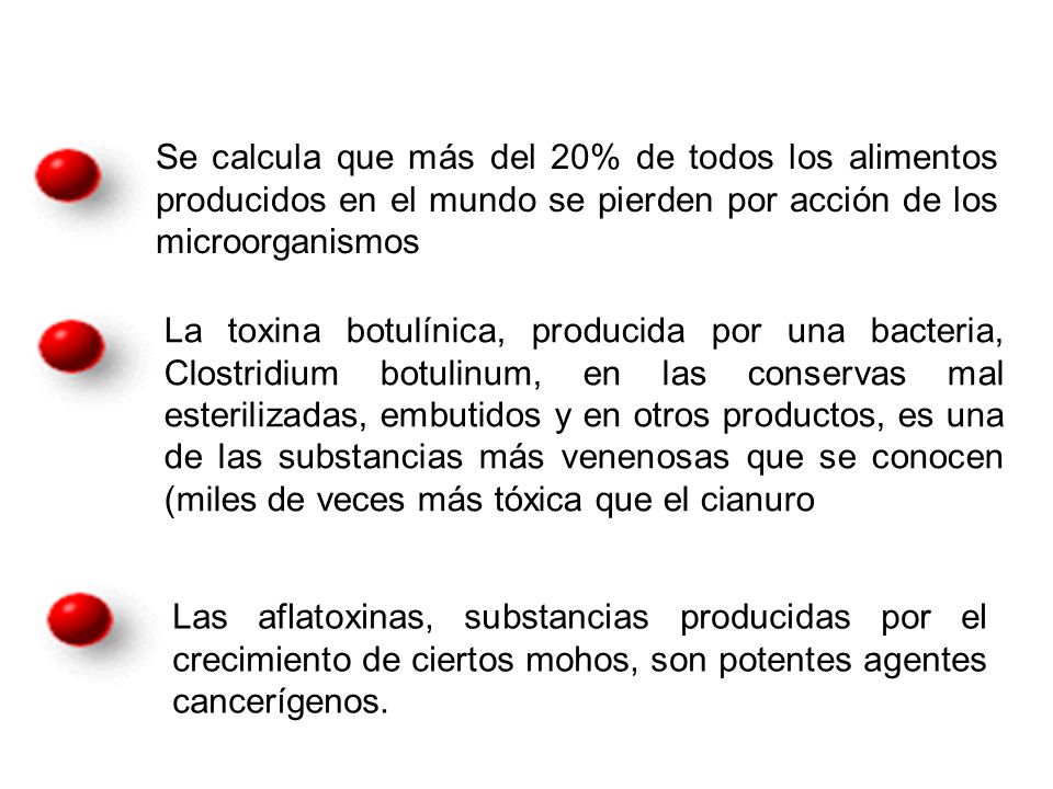 Se calcula que más del 20% de todos los alimentos producidos en el mundo se pierden por acción de los microorganismos