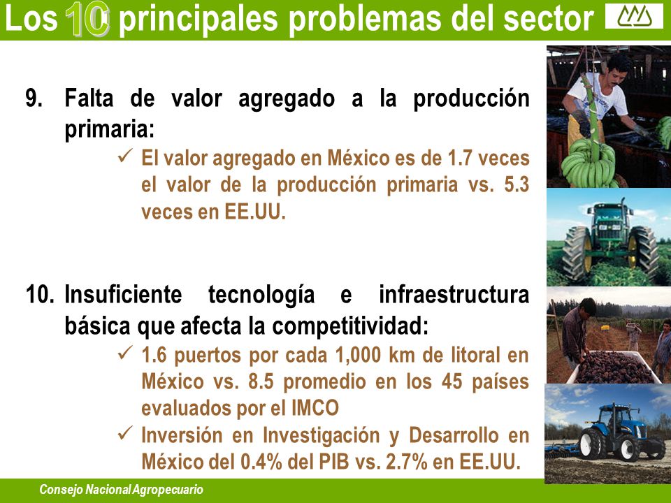 C 1 Los principales problemas del sector