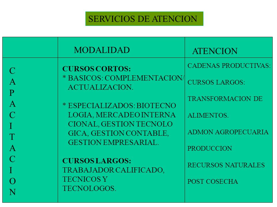 SERVICIOS DE ATENCION MODALIDAD ATENCION C A P I T O N CURSOS CORTOS: