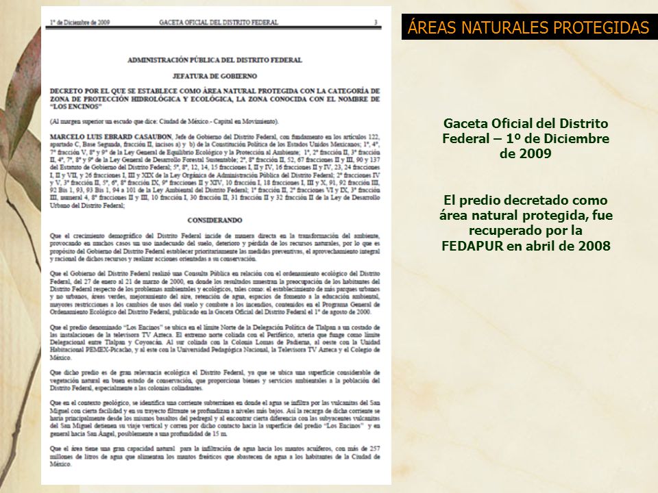 Gaceta Oficial del Distrito Federal – 1º de Diciembre de 2009