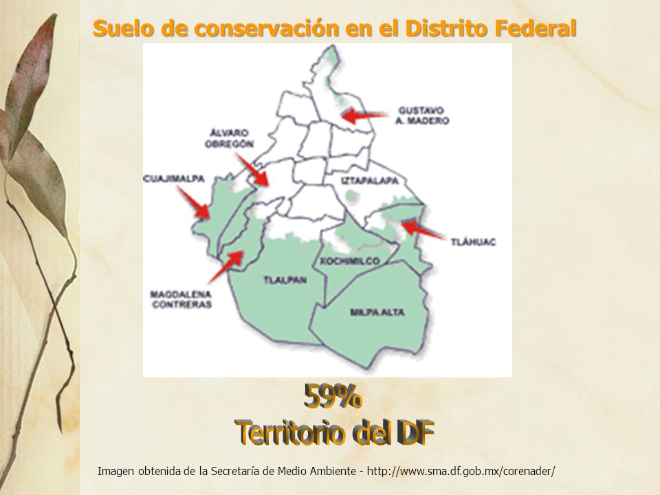 59% Territorio del DF Suelo de conservación en el Distrito Federal