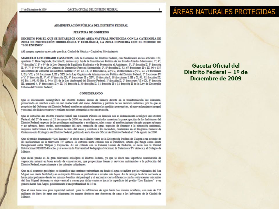 Gaceta Oficial del Distrito Federal – 1º de Diciembre de 2009