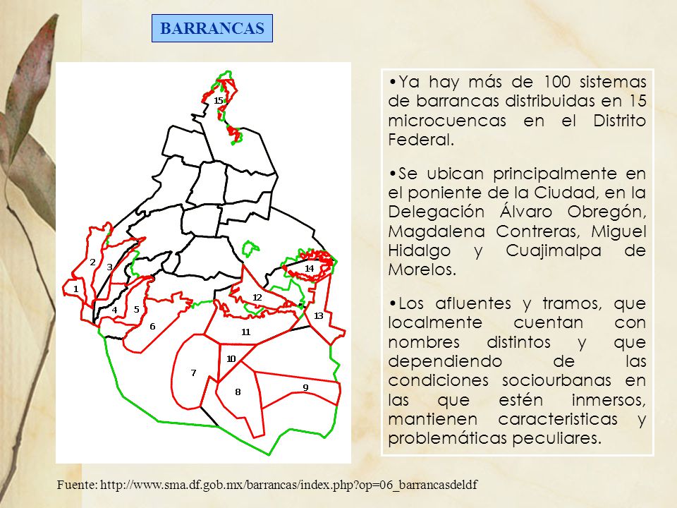 BARRANCAS Ya hay más de 100 sistemas de barrancas distribuidas en 15 microcuencas en el Distrito Federal.