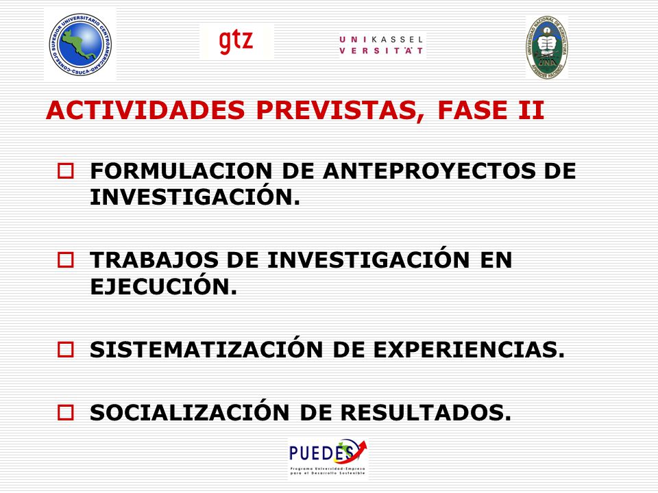 ACTIVIDADES PREVISTAS, FASE II