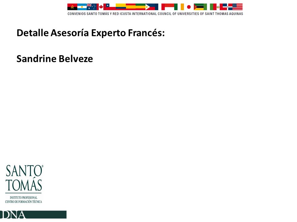 Detalle Asesoría Experto Francés: