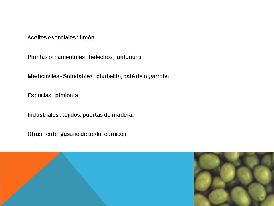Aceites esenciales : limón. Plantas ornamentales : helechos, anturiuns