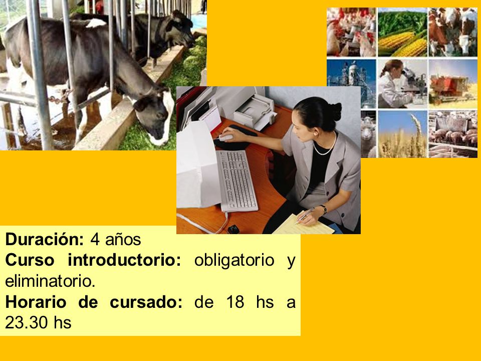 Duración: 4 años Curso introductorio: obligatorio y eliminatorio.