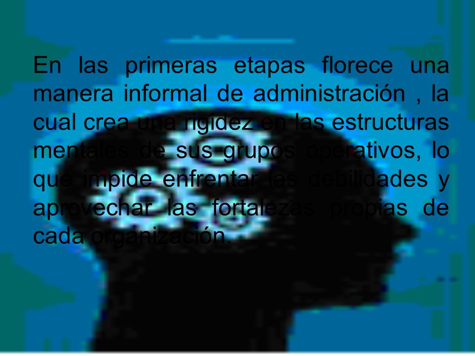 En las primeras etapas florece una manera informal de administración , la cual crea una rigidez en las estructuras mentales de sus grupos operativos, lo que impide enfrentar las debilidades y aprovechar las fortalezas propias de cada organización.