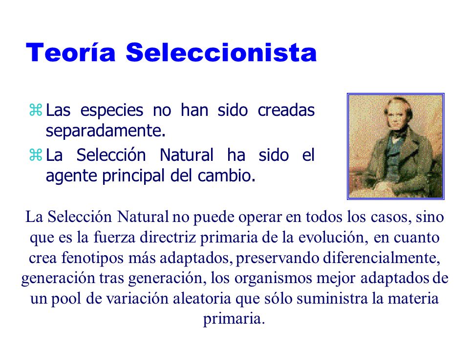Teoría Seleccionista Las especies no han sido creadas separadamente.