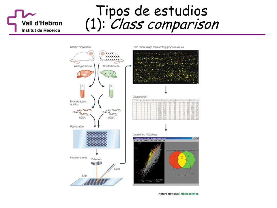 Tipos de estudios (1): Class comparison