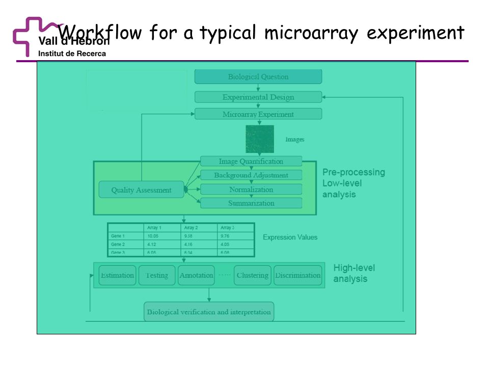 Workflow for a typical microarray experiment