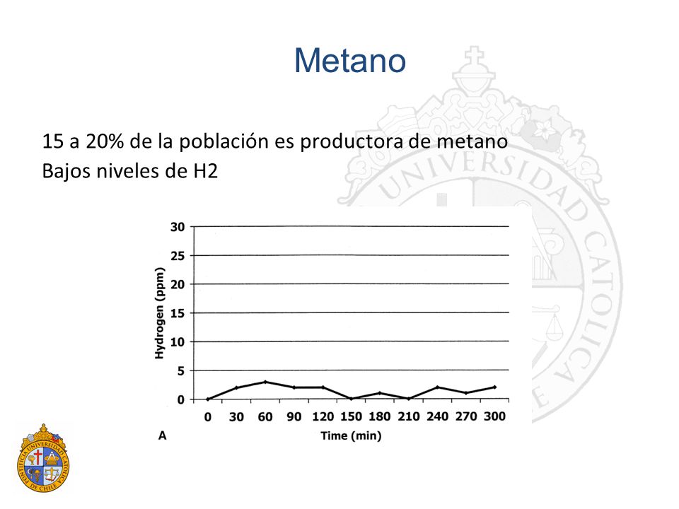 15 a 20% de la población es productora de metano Bajos niveles de H2