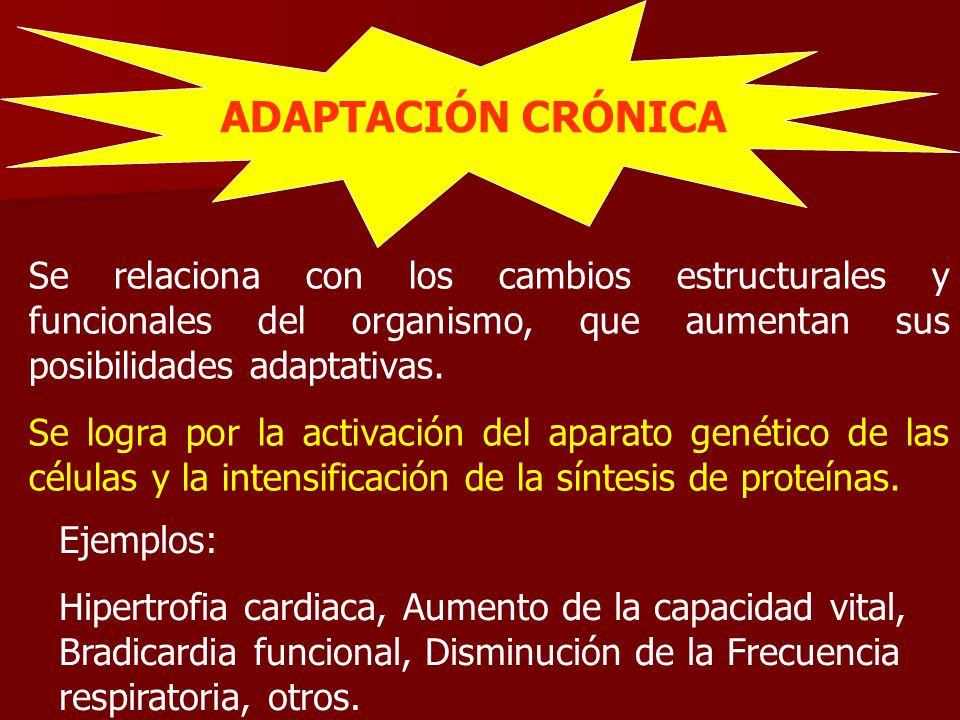 ADAPTACIÓN CRÓNICA Se relaciona con los cambios estructurales y funcionales del organismo, que aumentan sus posibilidades adaptativas.