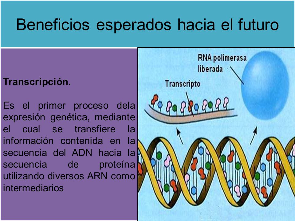 Beneficios esperados hacia el futuro