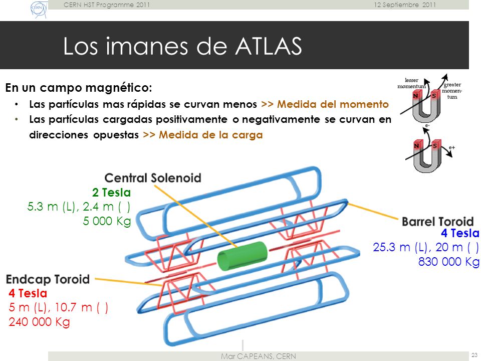 Los imanes de ATLAS En un campo magnético: 2 Tesla