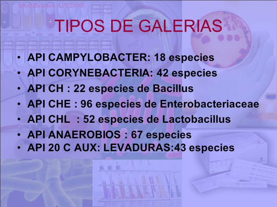 TIPOS DE GALERIAS API CAMPYLOBACTER: 18 especies