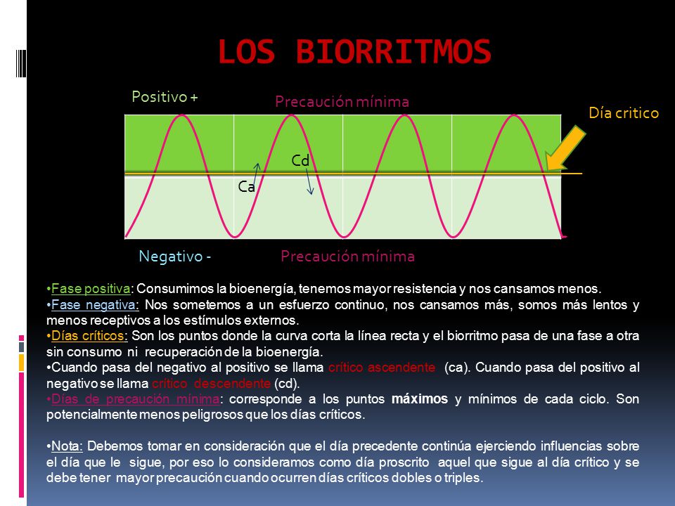 LOS BIORRITMOS Positivo + Precaución mínima Día critico Cd Ca