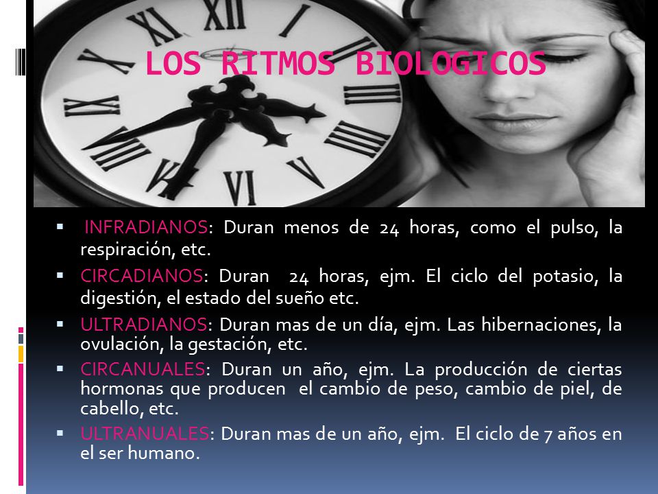 LOS RITMOS BIOLOGICOS INFRADIANOS: Duran menos de 24 horas, como el pulso, la respiración, etc.