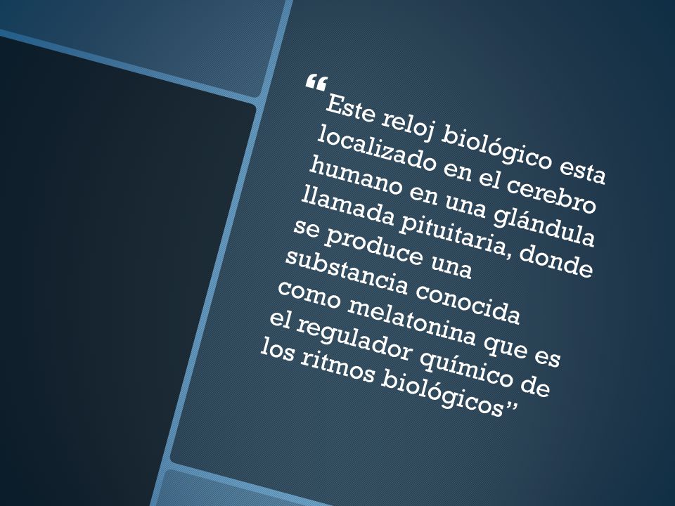 Este reloj biológico esta localizado en el cerebro humano en una glándula llamada pituitaria, donde se produce una substancia conocida como melatonina que es el regulador químico de los ritmos biológicos