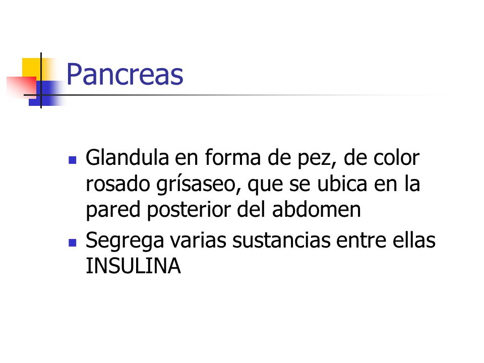 Pancreas Glandula en forma de pez, de color rosado grísaseo, que se ubica en la pared posterior del abdomen.