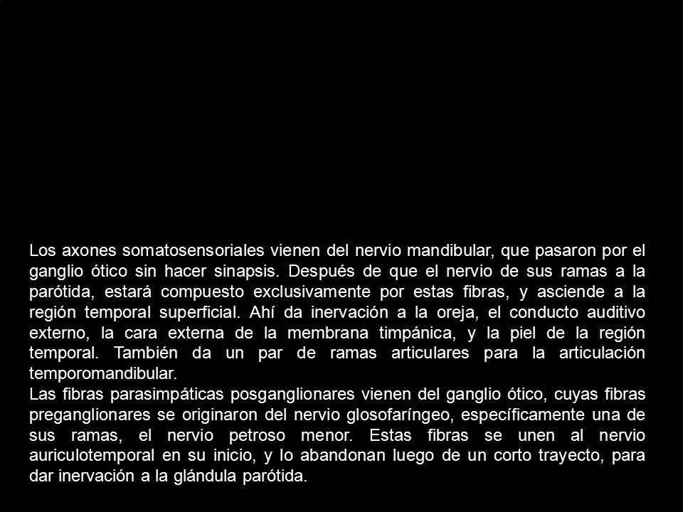 Los axones somatosensoriales vienen del nervio mandibular, que pasaron por el ganglio ótico sin hacer sinapsis. Después de que el nervio de sus ramas a la parótida, estará compuesto exclusivamente por estas fibras, y asciende a la región temporal superficial. Ahí da inervación a la oreja, el conducto auditivo externo, la cara externa de la membrana timpánica, y la piel de la región temporal. También da un par de ramas articulares para la articulación temporomandibular.
